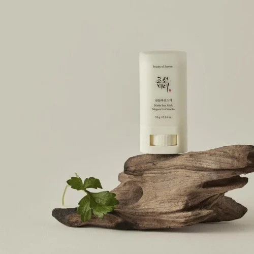 Beauty of Joseon Matte Sun Stick Mugwort + Camelia 18g - EmpressKorea