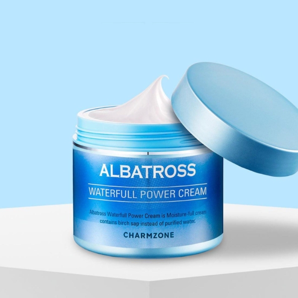 CHARMZONE Albatross Waterfull Power Cream 100ml - EmpressKorea