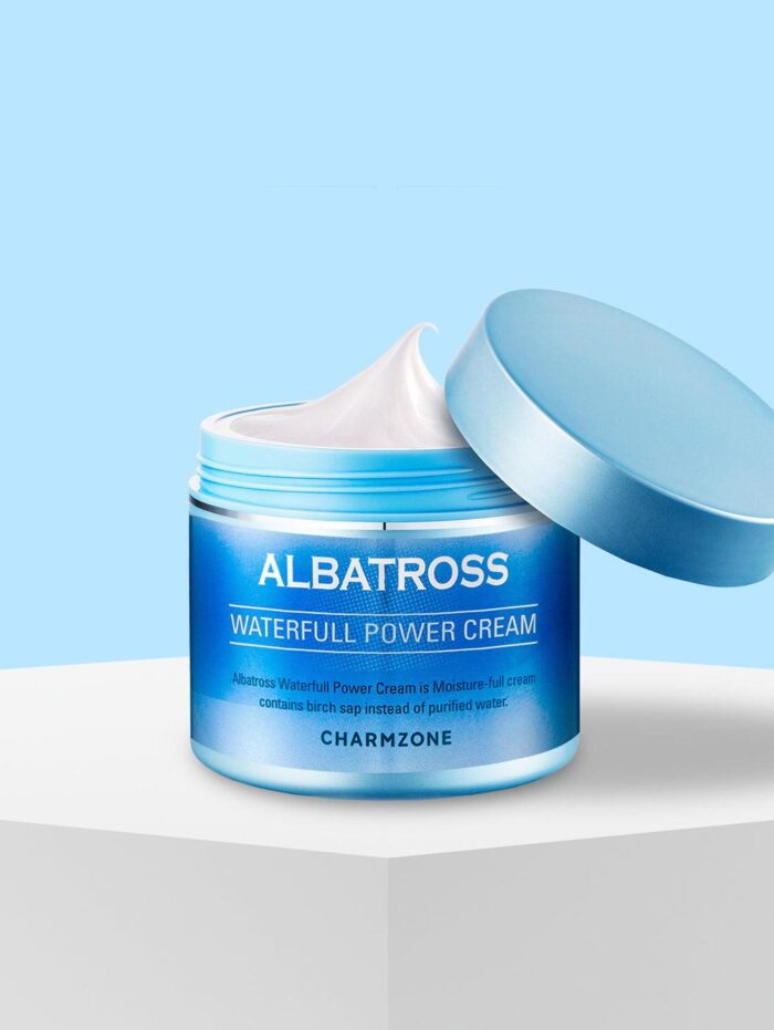 CHARMZONE Albatross Waterfull Power Cream 100ml - EmpressKorea