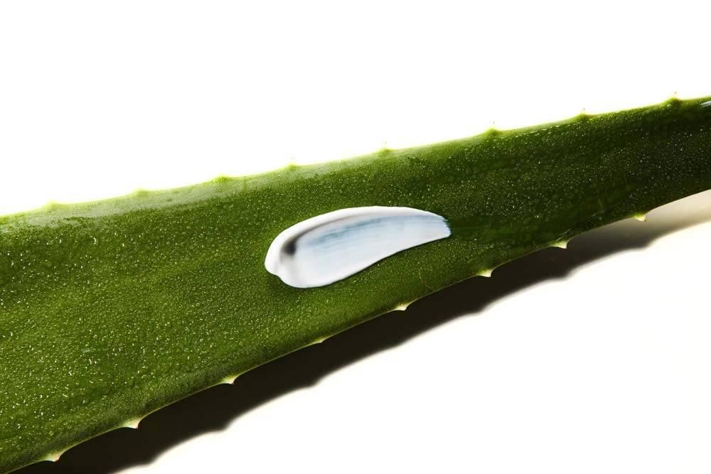 COSRX Aloe Soothing Sun Cream SPF50 PA+++, 50ml - EmpressKorea