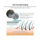 CP-1 Head Spa Scalp Scaler 250ml - EmpressKorea