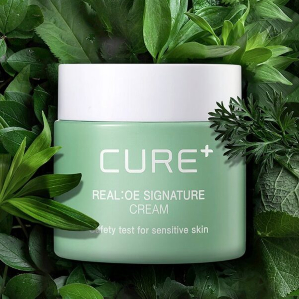 CURE Realoe Signature Cream 55g - EmpressKorea