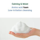 Centellian24 Madeca Amino Acid Cleansing Foam 160ml - EmpressKorea