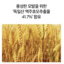 DERMA FACTORY Anti Hair Loss Shampoo 300ml *2pcs Beer Brewer's Yeast 41% Caffeine 1% Natural Active Ingredients Scalp Hair Care - EmpressKorea
