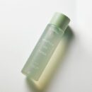 DEWYTREE Heartleaf 100 Toner 200ml - EmpressKorea