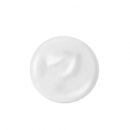 DEWYTREE Ultra Nourishing Snail Serum 70ml - EmpressKorea