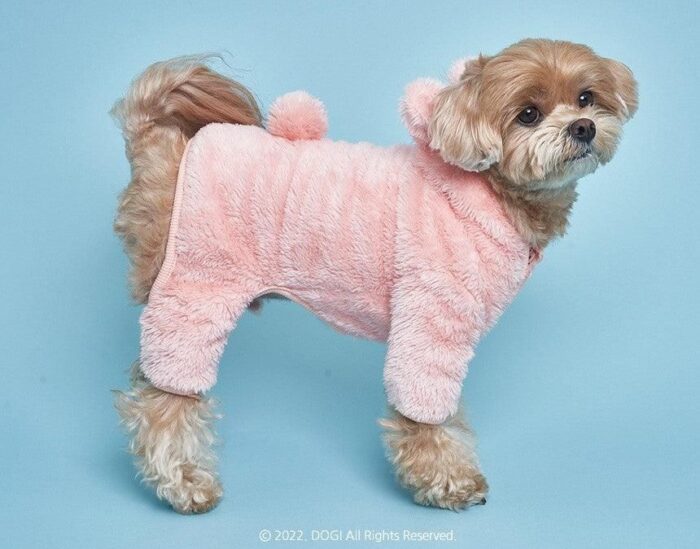 DOGI Pet Bear Hood All-in-one - EmpressKorea