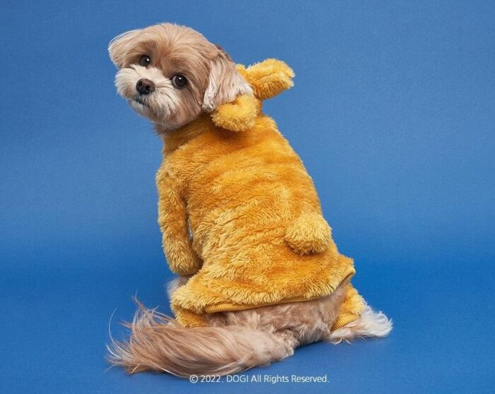 DOGI Pet Bear Hood All-in-one - EmpressKorea