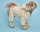 DOGI Pet Bear Hood All-in-one - EmpressKorea