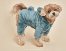 DOGI Pet Bear Hood All-in-one - EmpressKorea