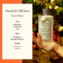 Derma B Narrative Body Wash Mandarin Till Dawn 300ml - EmpressKorea