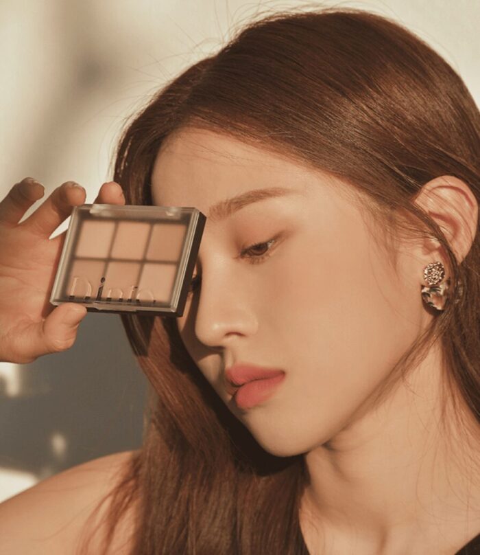 Dinto Blur-Finish Eye Shadow #701 JANE AUSTEN 6g - EmpressKorea