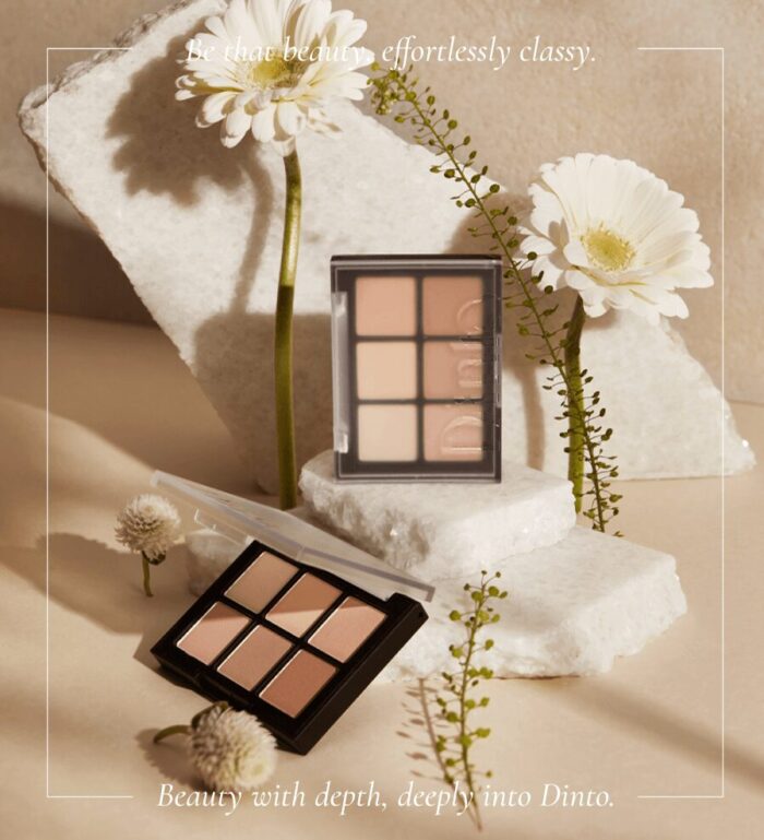 Dinto Blur-Finish Eye Shadow #704 LOUISA MAY ALCOTT 6g - EmpressKorea