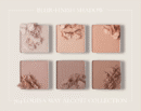 Dinto Blur-Finish Eye Shadow #704 LOUISA MAY ALCOTT 6g - EmpressKorea