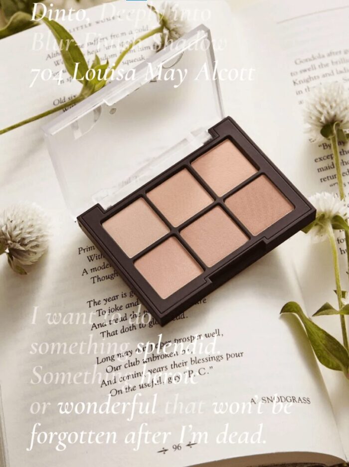 Dinto Blur-Finish Eye Shadow #704 LOUISA MAY ALCOTT 6g - EmpressKorea
