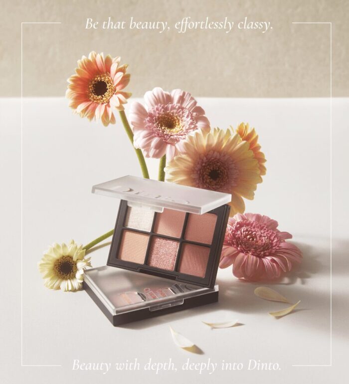 Dinto Blur-Finish Eye Shadow #705 MARY SHELLEY 6g - EmpressKorea