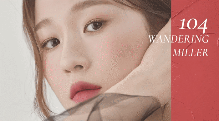 Dinto Blur-Finish Lip Tint (4 Colors) 3.5g - EmpressKorea