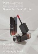 Dinto Blur-Glowy Lip Tint (12 Colors) 3.5g - EmpressKorea