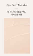 Dinto Blur Finish Cushion Original Product 12g - EmpressKorea