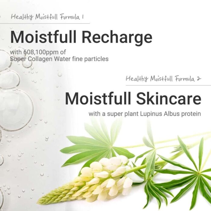 ETUDE Moistfull Collagen Cream 75ml - EmpressKorea