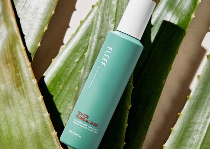 FLEEF Cica-Aloe Calming All In One 200ml - EmpressKorea
