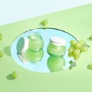 FRUDIA Green Grape Pore Control Cream 55g - EmpressKorea