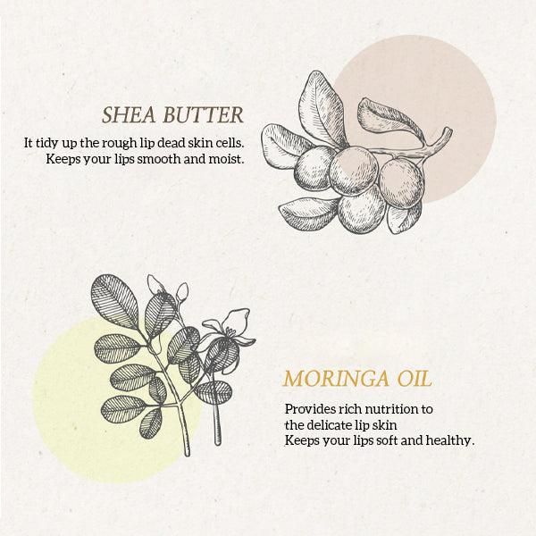 FRUDIA Re:proust Essential Blending Lip Butter (2 Types) 10g - EmpressKorea