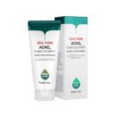 Farmstay Cica Farm Acne Foam Cleanser 180ml - EmpressKorea