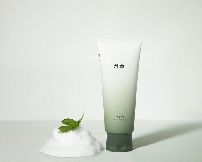 HANYUL ARTEMISIA Mild Cleansing Foam 150g - EmpressKorea