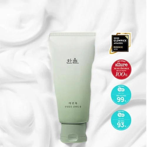 HANYUL Pure Artemisia Calming Foam Cleanser 120g - EmpressKorea