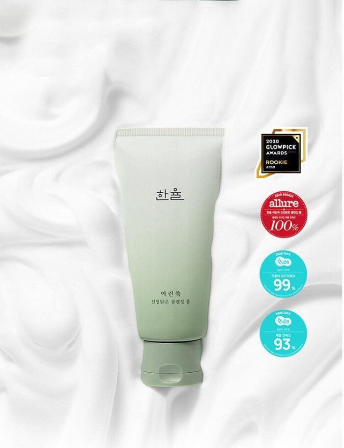 HANYUL Pure Artemisia Calming Foam Cleanser 120g - EmpressKorea