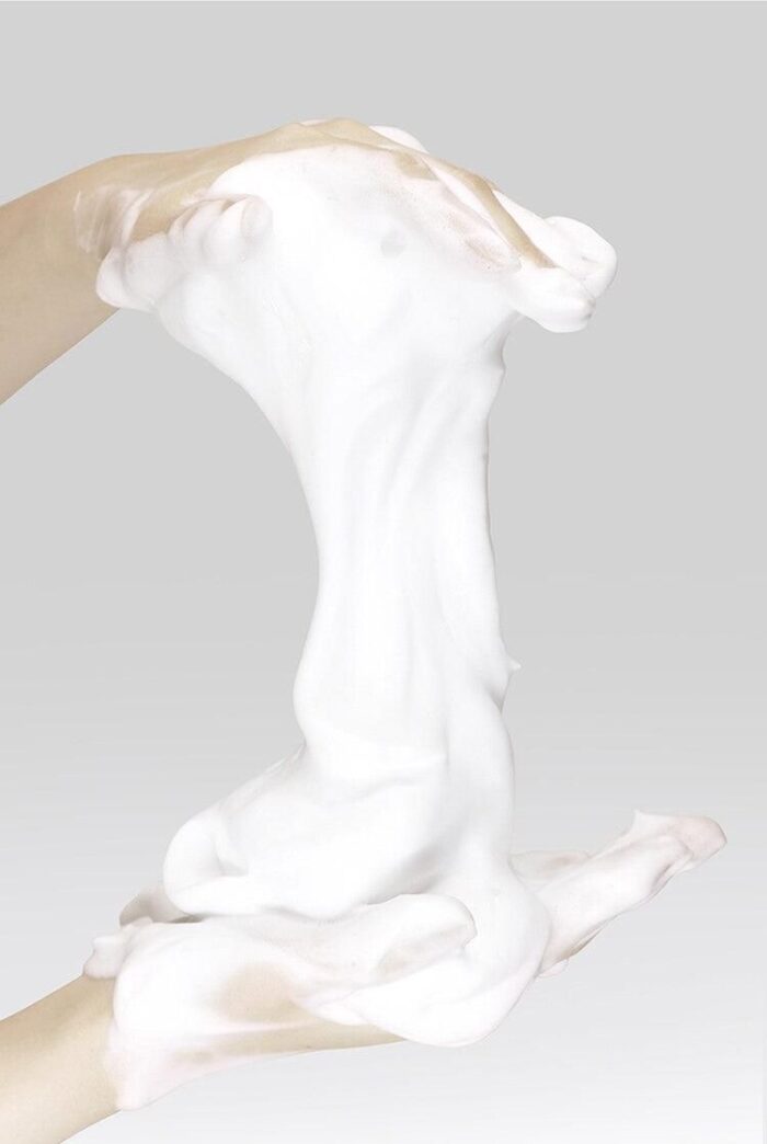 HANYUL Pure Artemisia Calming Foam Cleanser 120g - EmpressKorea