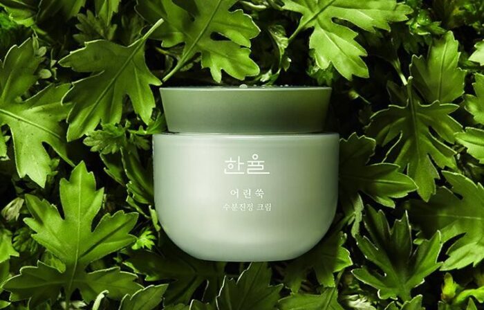 HANYUL Pure Artemisia Calming Water Cream 50ml - EmpressKorea