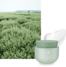 HANYUL Pure Artemisia Calming Water Cream 50ml - EmpressKorea