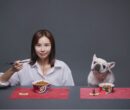 HARIM The Real Uni Jajangmyeon For Dog 70g*3ea - EmpressKorea