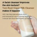 ISNTREE Yam Root Vegan Milk Cleanser 220ml - EmpressKorea