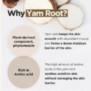 ISNTREE Yam Root Vegan Milk Cleanser 220ml - EmpressKorea