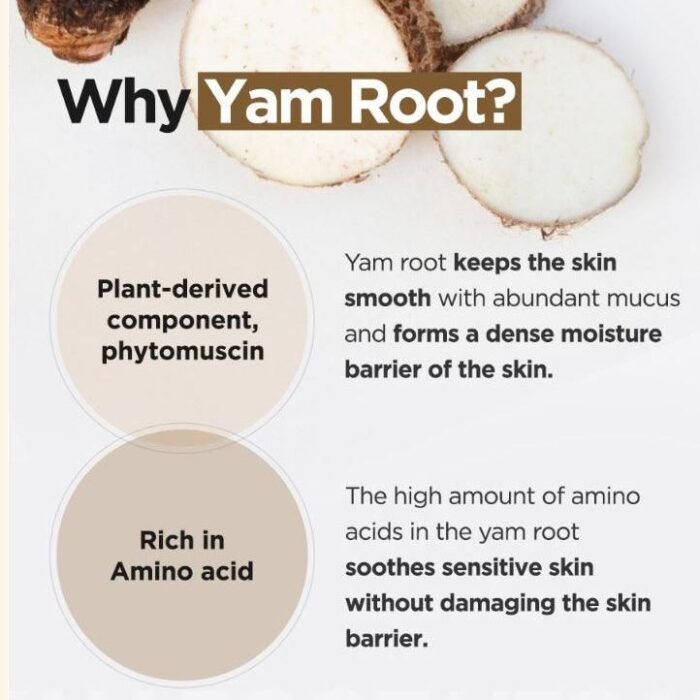 ISNTREE Yam Root Vegan Milk Cleanser 220ml - EmpressKorea