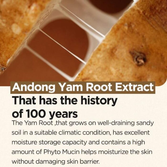 ISNTREE Yam Root Vegan Milk Cleanser 220ml - EmpressKorea