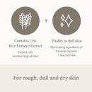 I'm from Rice Serum 30ml - EmpressKorea