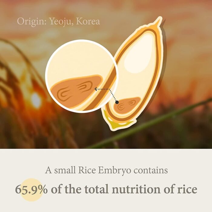 I'm from Rice Serum 30ml - EmpressKorea