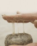 Jeongango Essence Soap Pack Handmade Soap 100g - EmpressKorea