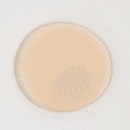 KAINE Kombu Balancinig Ampoule Toner 150ml - EmpressKorea