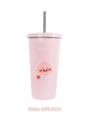 Kakao Friends stainless straw tumbler - EmpressKorea