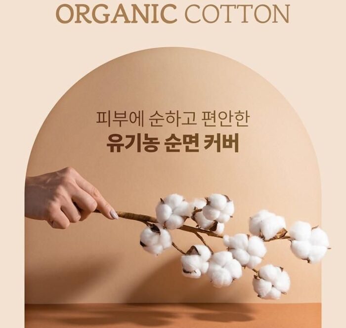 Kleannara Organic Pure Cotton Cover  Wing Type Big 14Pcs*3ea - EmpressKorea