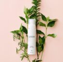 LAGOM Cellus Mist Toner 120ml - EmpressKorea