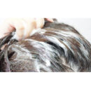 La'dor Herbalism Shampoo (Hair loss relief) 150ml - EmpressKorea