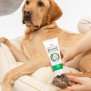Laughing Charlie Soothing Oinment Dog Ointment 50g - EmpressKorea