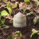 NEOGEN Real Heartleaf Soothing Cream 80g - EmpressKorea