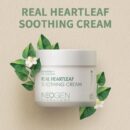 NEOGEN Real Heartleaf Soothing Cream 80g - EmpressKorea